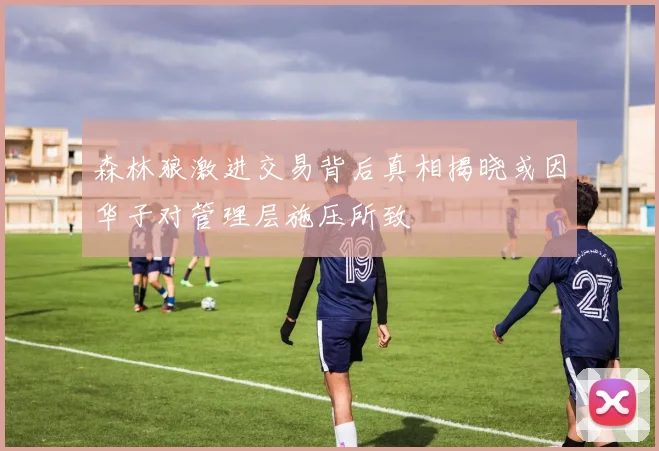 森林狼激进交易背后真相揭晓或因华子对管理层施压所致