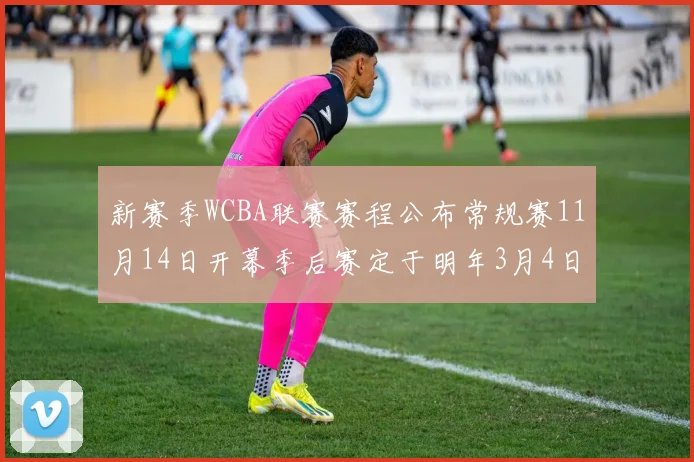 新赛季WCBA联赛赛程公布常规赛11月14日开幕季后赛定于明年3月4日启动