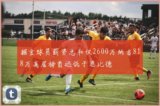 掘金球员薪资总和仅2600万纳吉818万高居榜首远低于恩比德