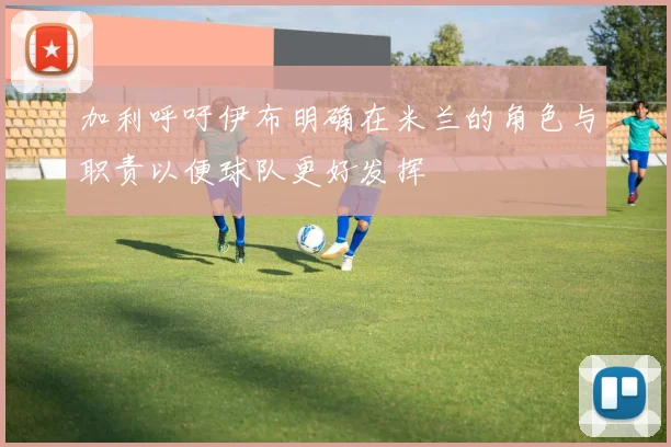 加利呼吁伊布明确在米兰的角色与职责以便球队更好发挥