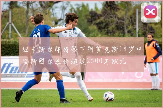 纽卡斯尔即将签下阿贾克斯18岁中场斯图尔总价超过2500万欧元