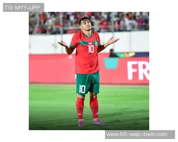 摩洛哥主帅强调球队胜利源于努力表现非依赖裁判照顾